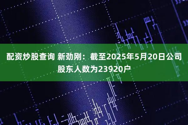 配资炒股查询 新劲刚：截至2025年5月20日公司股东人数为23920户